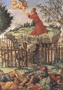Sandro Botticelli Prayer in the Garden china oil painting artist